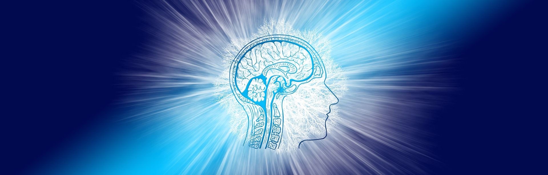 Mental Education