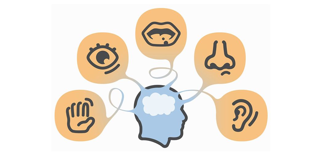The Training of the Senses