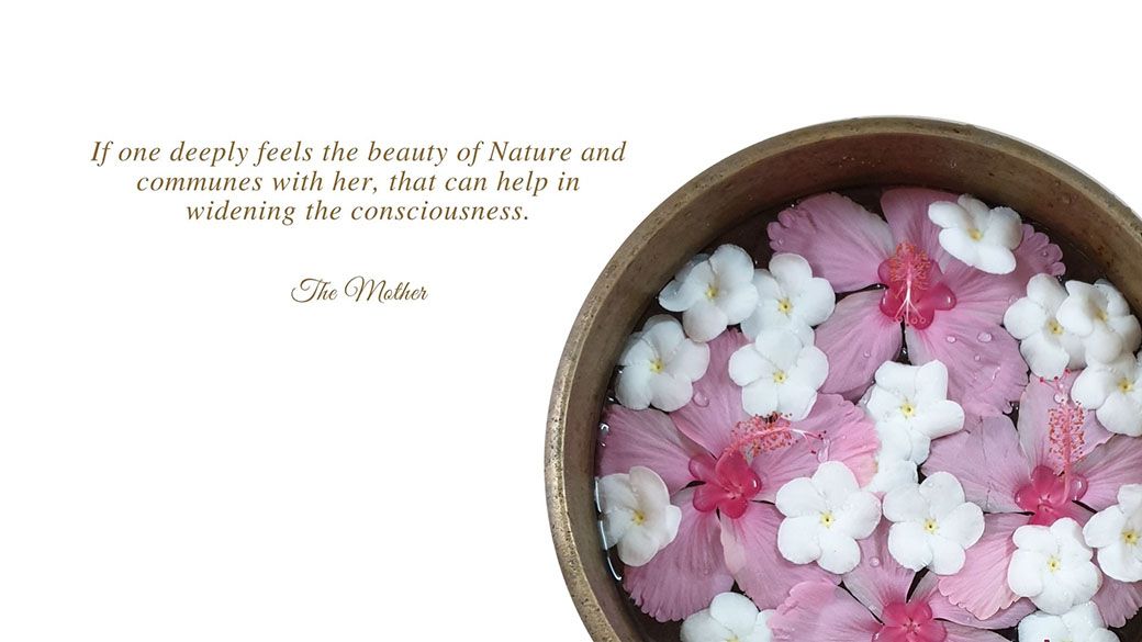 Beauty, Contemplate and Practice