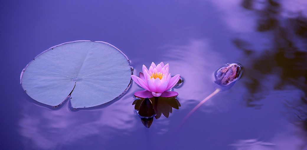 Practices for Bringing Beauty in Life