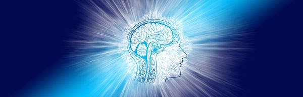 Mental Education