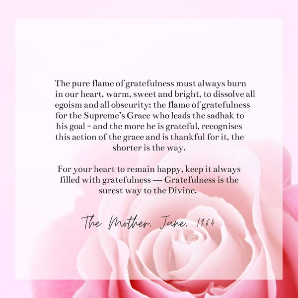 Gratitude Circle