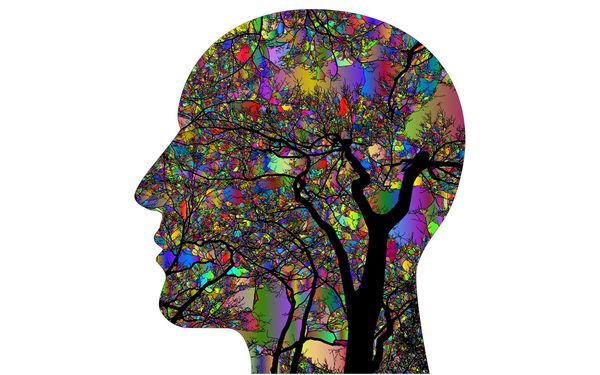 The Human Mind