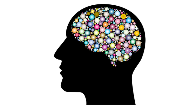The Training of the Mental Faculties