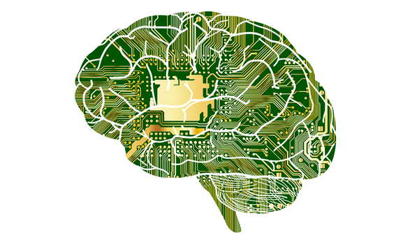 The Training of the Logical Faculty