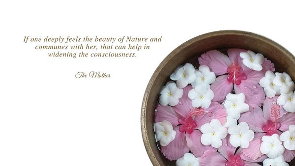 Beauty, Contemplate and Practice