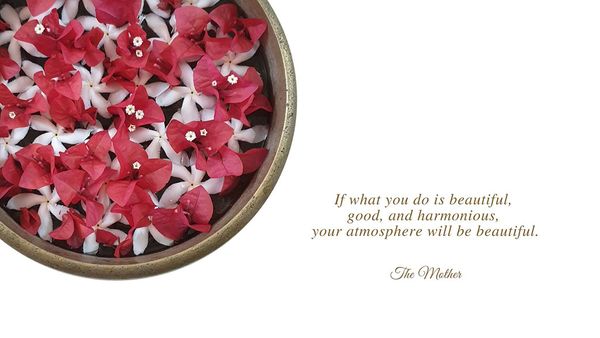 What is Beauty? Contemplate and Practice
