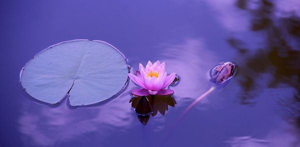 Practices for Bringing Beauty in Life