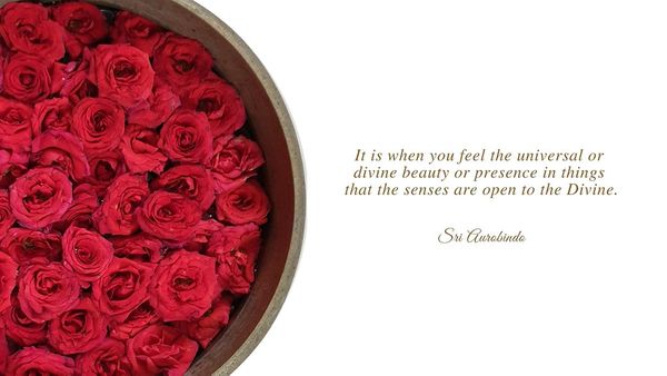 Invoking Beauty