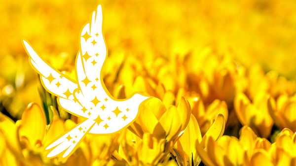 Awaken Yourself With Aspiration