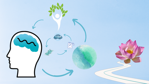 What is Integral Health?