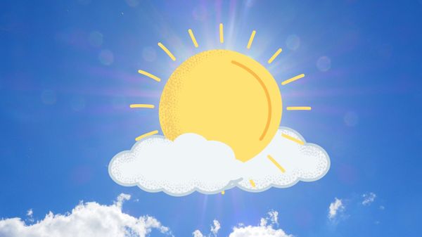 The Importance of Sunlight