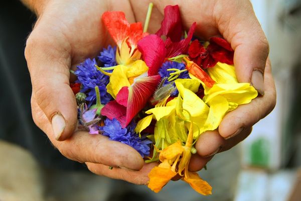 Practice: Remember and Offer