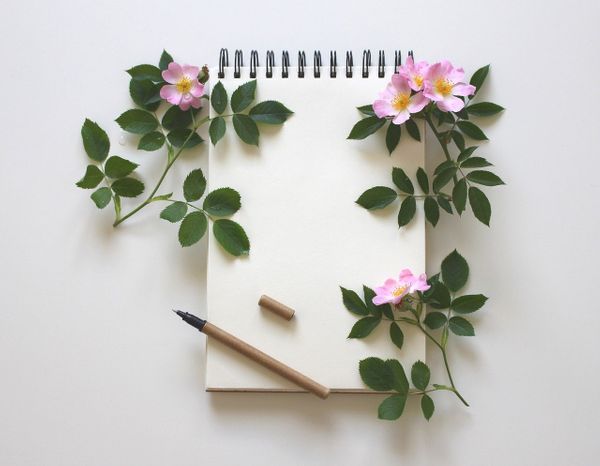 Accessing Your Inner Guide & "A Special Invitation” for Summer School