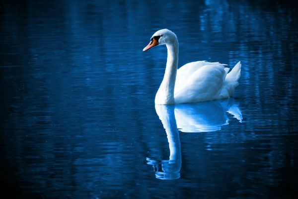 Seeking Guidance From Your Innermost Self